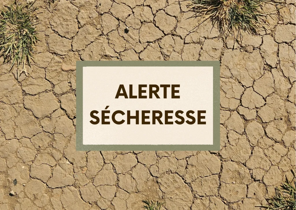 Lire la suite de l'actualité ALERTE SECHERESSE RENFORCEE